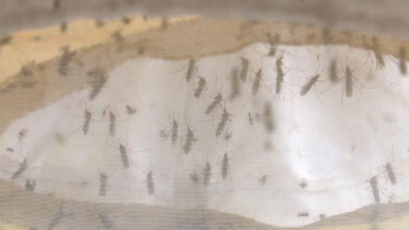 West Nile Virus is spread through mosquitoes that are near standing water.