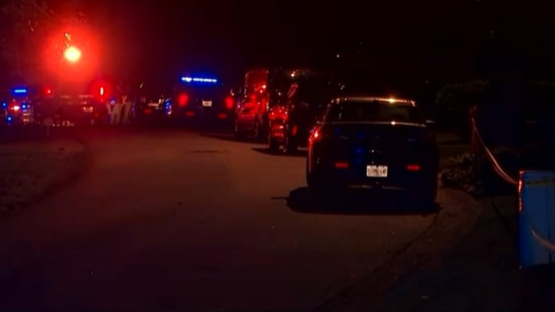 Cobb County domestic shooting