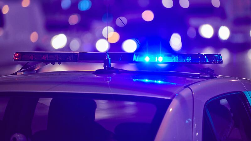 Imagen referencial police