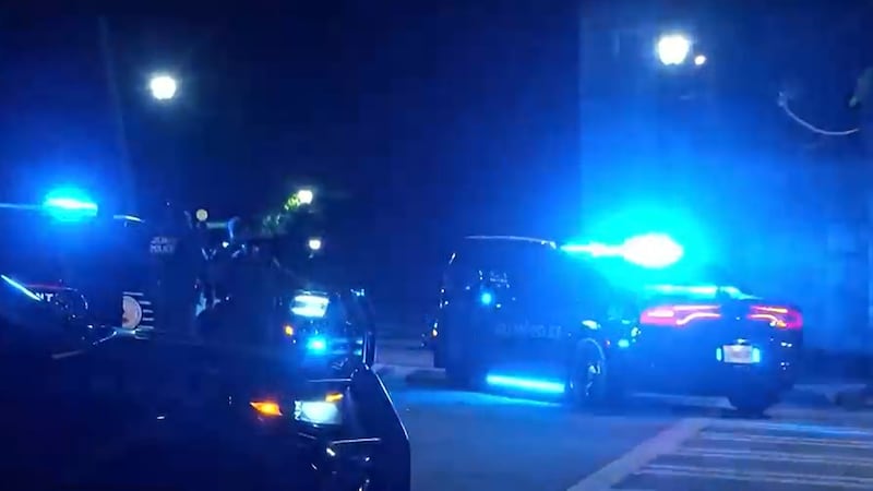 Piedmont Park police response