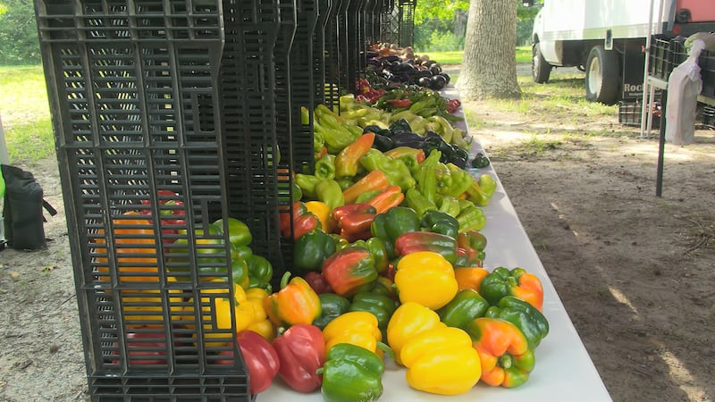 Cyclospora outbreak drives shoppers to local farmers markets