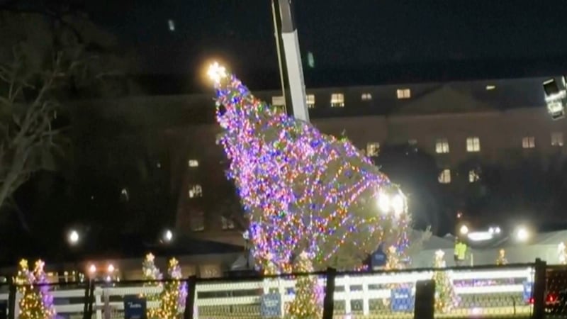 En esta imagen tomada a partir de un video, el Árbol Nacional de Navidad cuelga de una grúa...