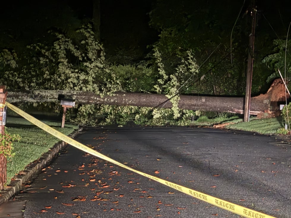 Un árbol cayó en Summitridge Drive, derribando líneas eléctricas.