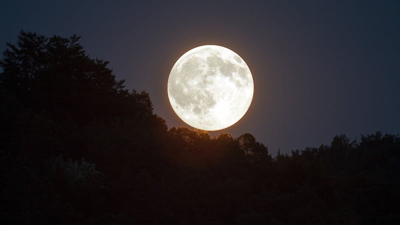 Luna de Fresa 2024