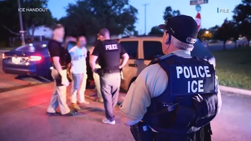 The Oahu Rapid Response Coalition set up a hotline for the community to call in ICE sightings.