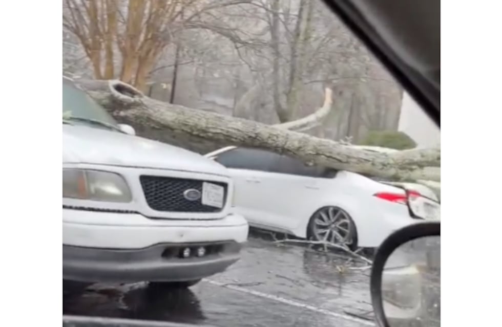 Árbol cae en vehículo en Sandy Springs.