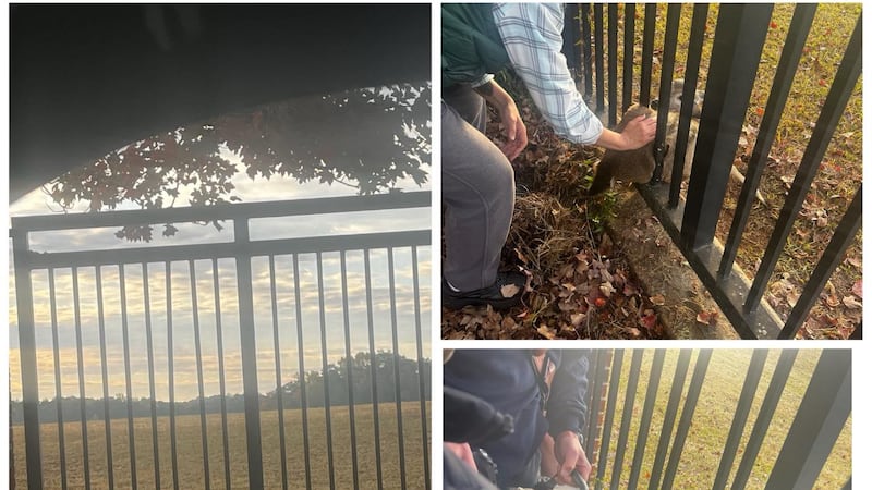 Bomberos de Dunwoody