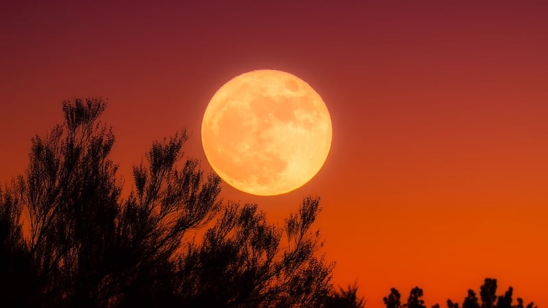 Luna de la cosecha 2023