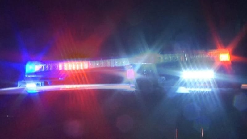 File photo of police lights.
