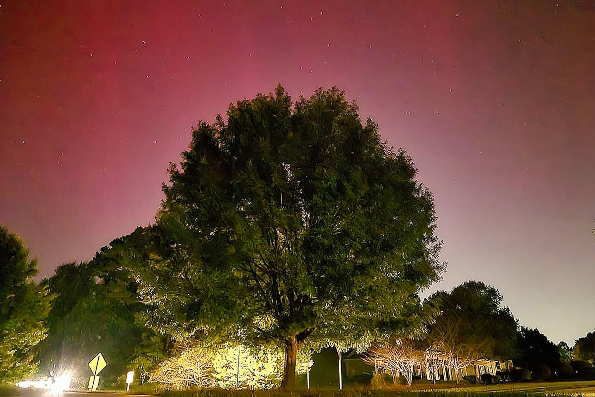 preloaded gallery image