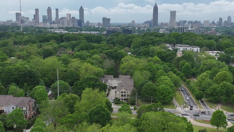 Atlanta council weighs tree protection ordinance calling for major increase to tree-cutting fees.