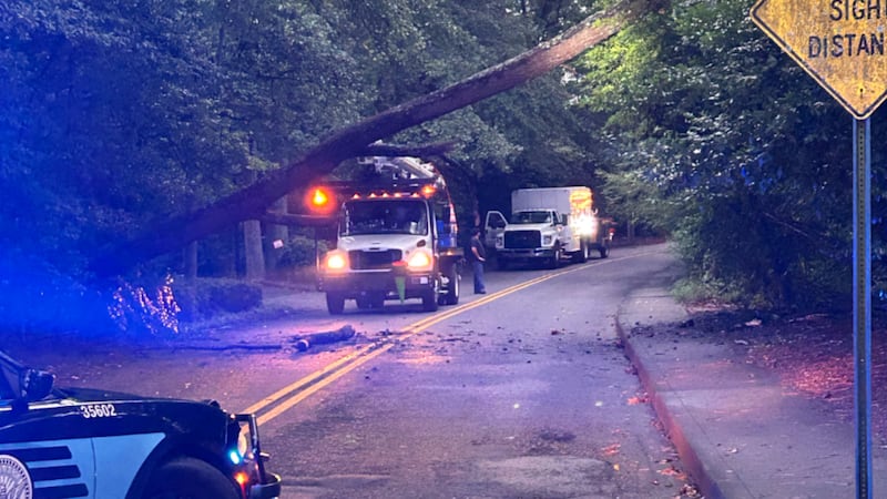 Fallen tree blocks Bohler Road in northwest Atlanta
