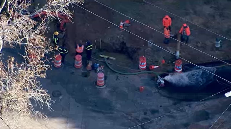 El incidente ocurrió en el área de Pegg Road y Parkside Terrace, donde equipos del...