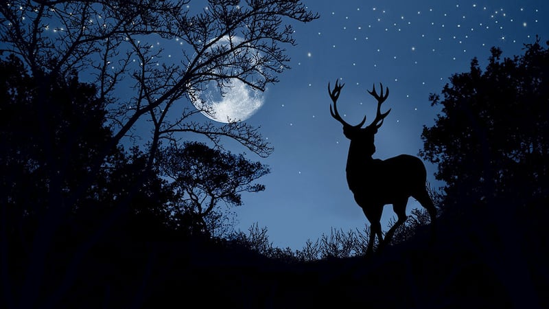 Luna de ciervo 2023