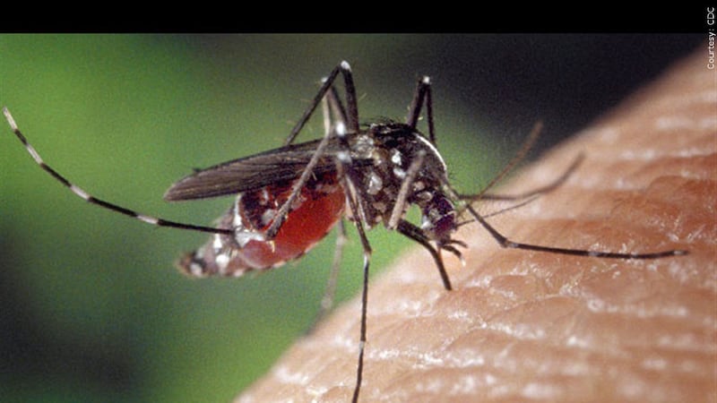 The Tippecanoe County Health Department says a mosquito group found in the County has tested...