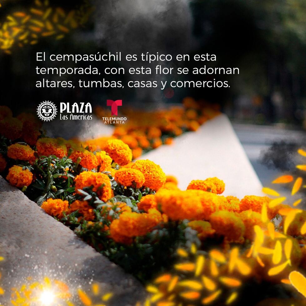 Día de Muertos Fest en Plaza las Américas