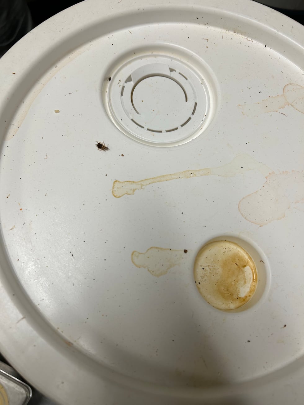 Un inspector de salud del condado de Gwinnett fotografió infracciones sanitarias críticas...