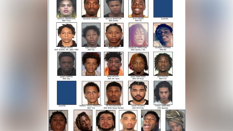 Los arrestos coronan una larga investigación sobre las supuestas actividades criminales de las...