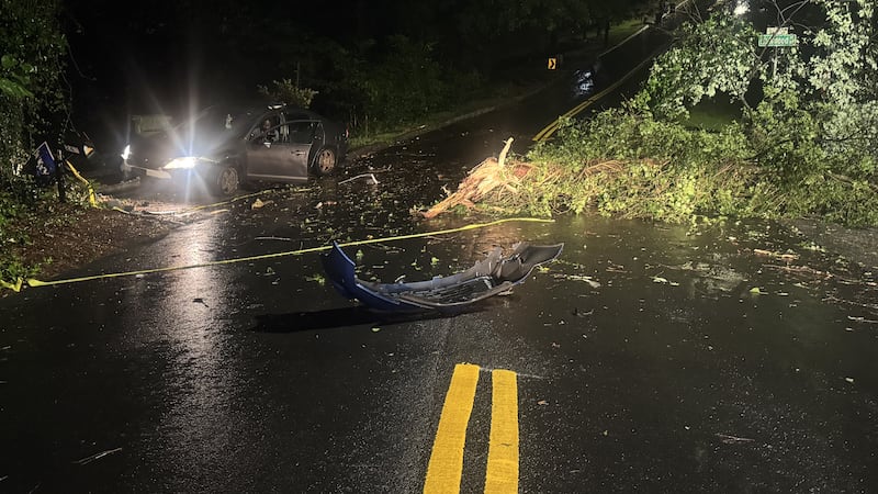 Un automóvil chocó contra un árbol en Linkwood Place la mañana del viernes (WANF).