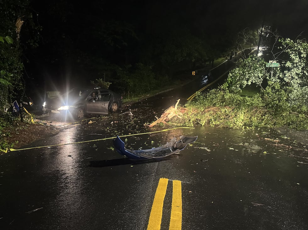 Un automóvil chocó contra un árbol en Linkwood Place la mañana del viernes (WANF).