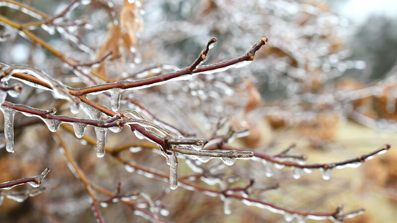 Ola ártica llega a Georgia.