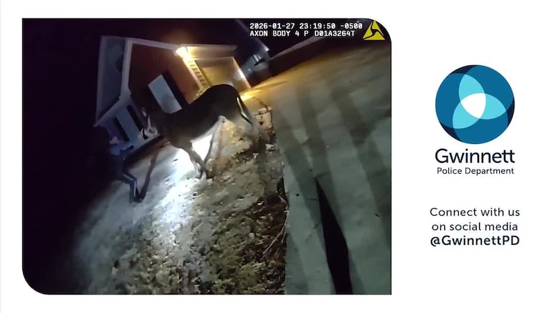 Persecución nocturna de 'prófugo' captada en video