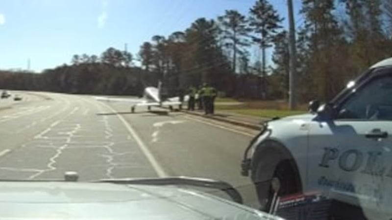A single-engine plane made an emergency landing Friday in Peachtree City.