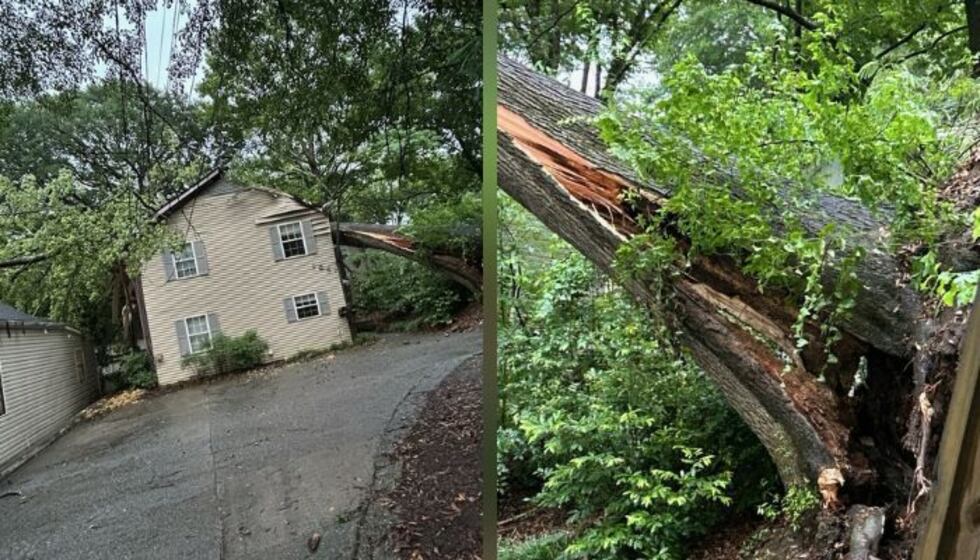 Un árbol de gran tamaño cayó sobre una vivienda ocupada por estudiantes de Georgia Tech en...