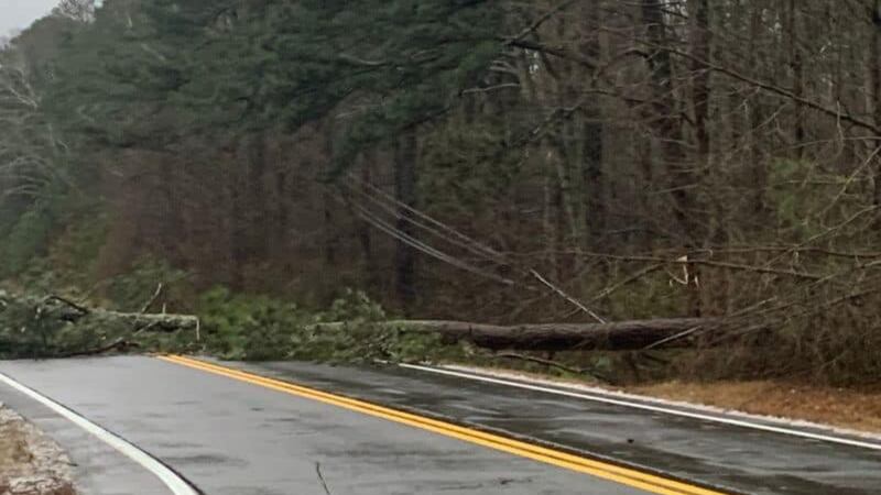Las fuertes tormentas derribaron árboles y provocaron apagones en Forsyth.