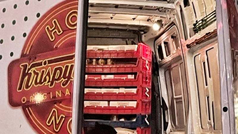 En esta fotografía del 12 de septiembre de 2023 cortesía de Shelly Deano se ve a dos osos...