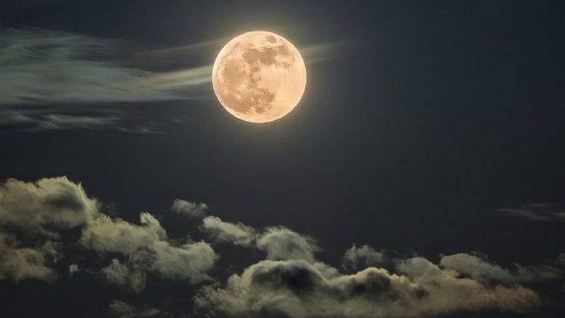 luna de gusano 2023