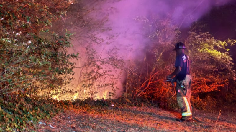 Brush fire in DeKalb County