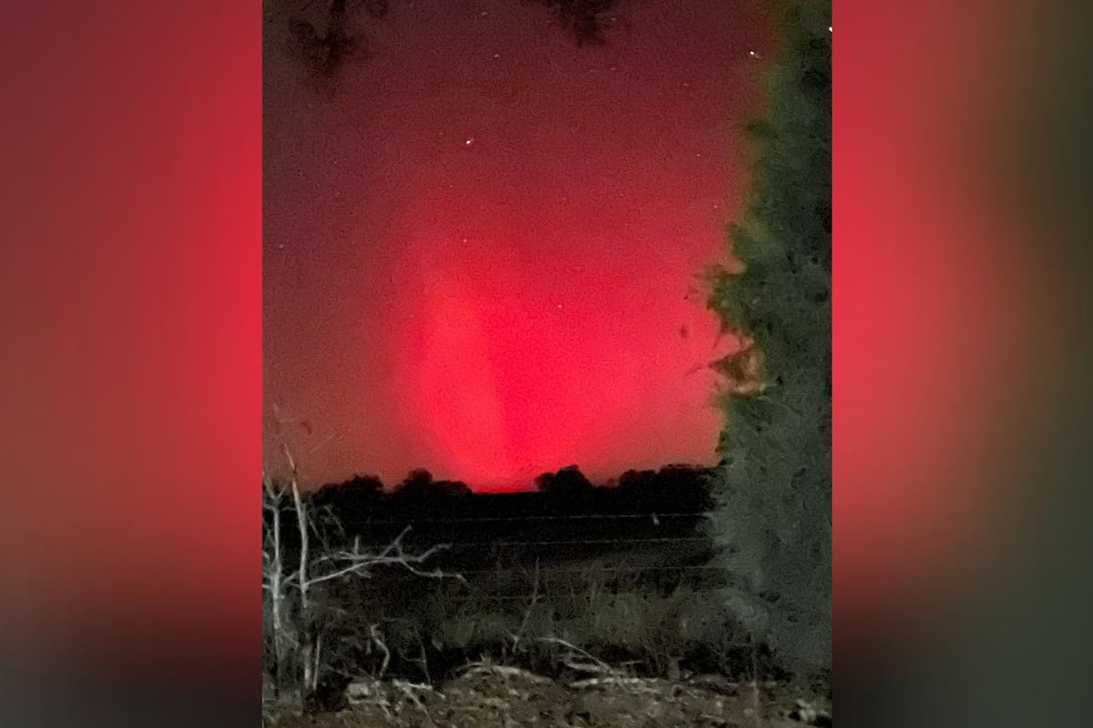 preloaded gallery image