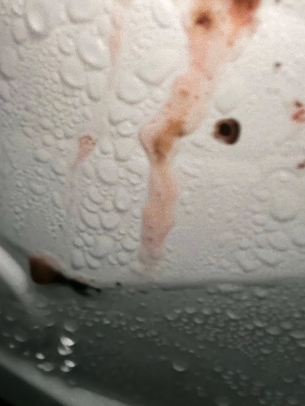 Un inspector de salud del condado de Gwinnett fotografió infracciones sanitarias críticas...