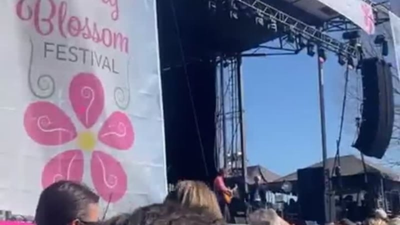 Cherry Blossom Festival 2026