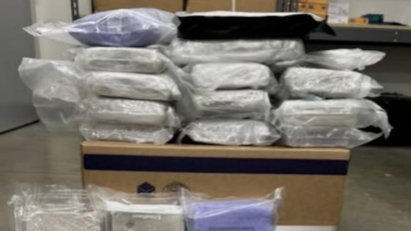 Abelardo Avila Gómez