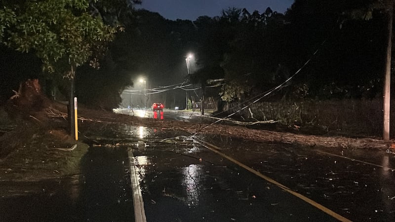 Tree down on Cascade Road