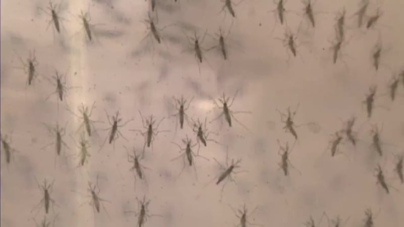Virus del Nilo Occidental