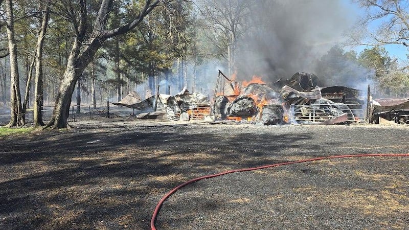 Tragedia en San Valentín: mueren dos niños al incendiarse su casa móvil en Georgia