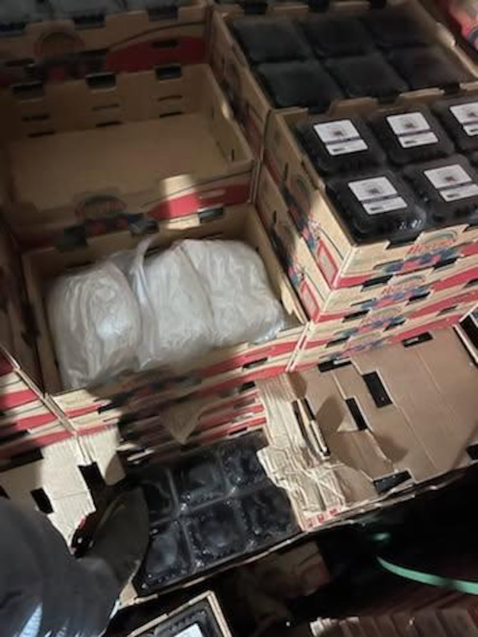 Operativo en Georgia