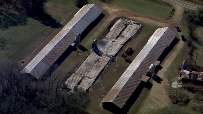 Thousands of chickens killed in Walton County fire