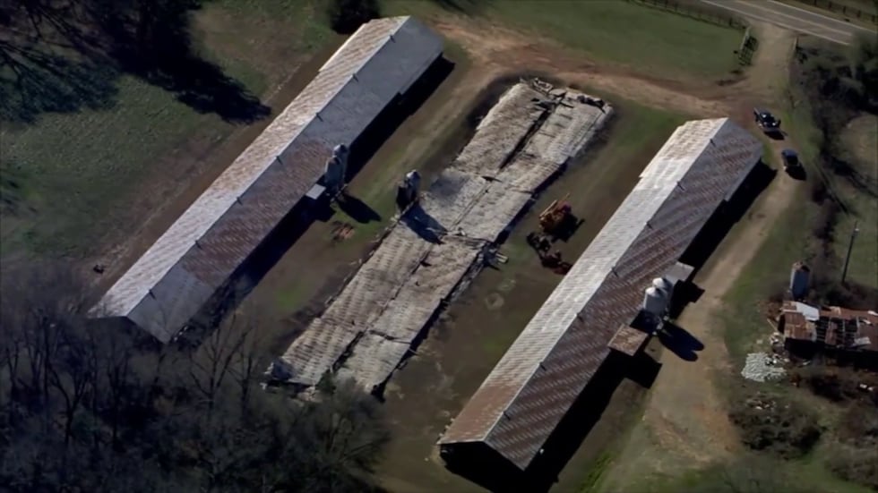La granja avícola quedó completamente destruida por el siniestro.