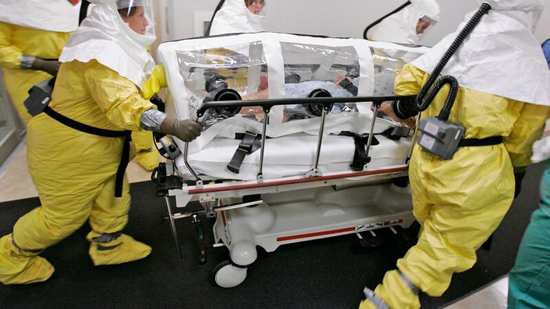 El hongo Candida auris en Estados Unidos se ha convertido en una seria preocupación para los...