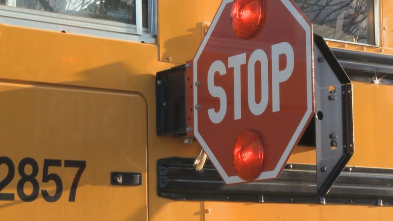 Stopped school bus with its stop sign out and flashing.