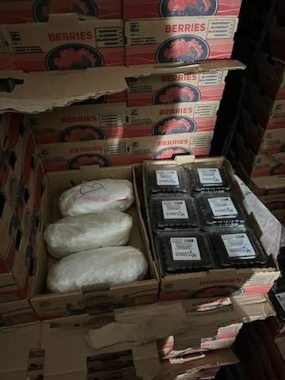 Operativo en Georgia