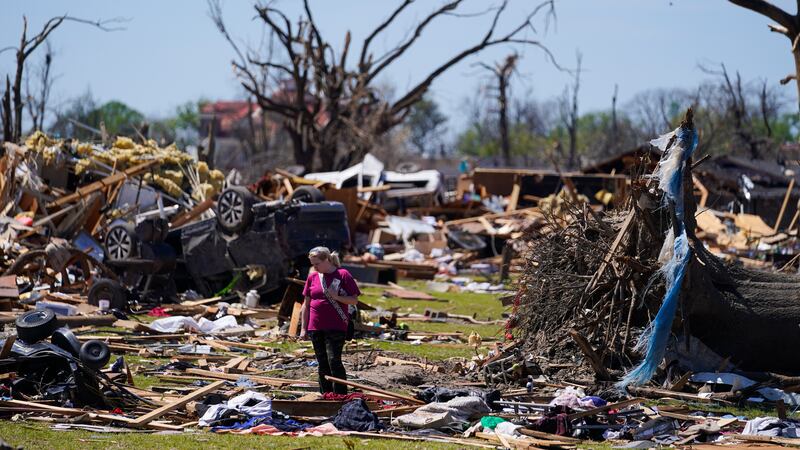 (AP Photo/Julio Cortez)