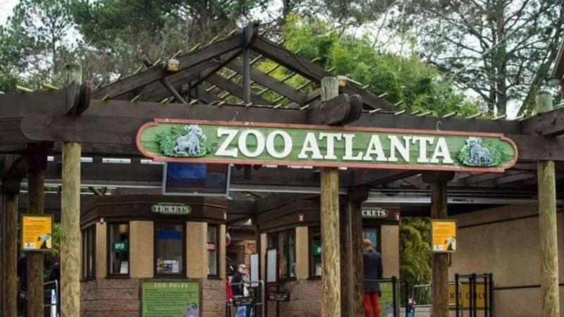 El Zoológico de Atlanta cerrará más temprano debido al calor.
