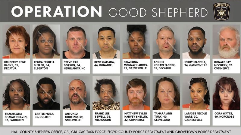 Arrestan a dieciséis personas en operación encubierta contra delitos sexuales.