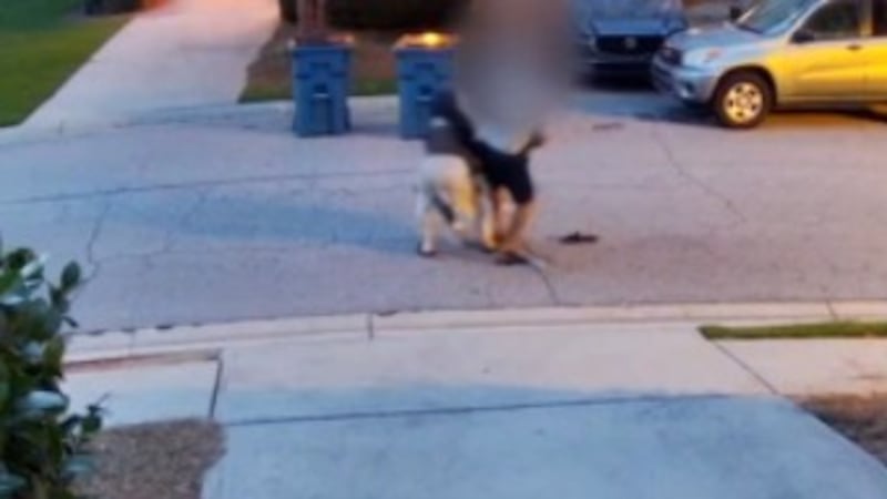 A man was hospitalized with severe injuries to both hands after a dog attack in Duluth. The...