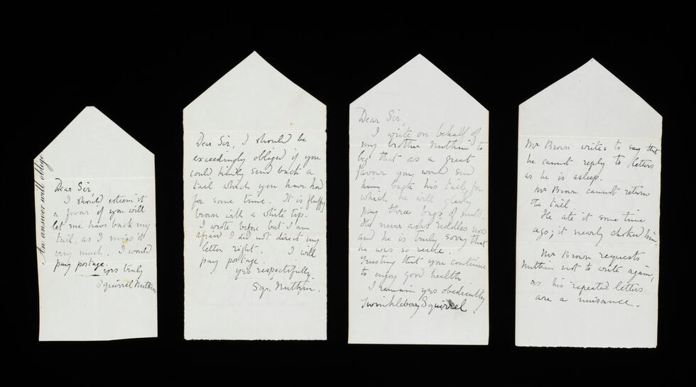 Bocetos de la escritora Beatrix Potter